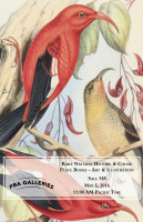 Sale 585: Rare Natural History & Color Plate Books - Art & Illustration