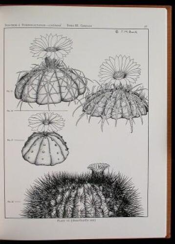 Lot of four volumes on botanical aspects of the Southwest and Texas