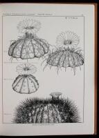 Lot of four volumes on botanical aspects of the Southwest and Texas