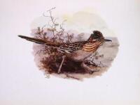 The Birds of California: A Complete, Scientific and Popular Account of the 580 Species and Subspecies of Birds Found in the State