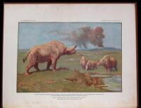 The Titanotheres of Ancient Wyoming, Dakota, and Nebraska