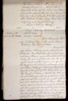 Manuscript court record of a divorce between Susan Blessing, Plaintiff, and Henry Blessing, Defendent