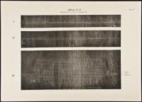 Seismogramme des nordpazifischen und s&uuml;damerikanischen Erdbebens am 16. August 1906
