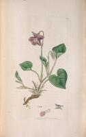 English Botany; Or, Coloured Figures of British Plants...