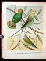 The Illustrated Book of Canaries and Cage-Birds, British and Foreign