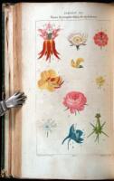 Le&ccedil;ons de Flore. Cours complet de botanique...suivi d'une Iconographie V&eacute;g&eacute;tale par P.J.F. Turpin...