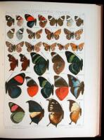 The Macrolepidopteria of the World: The American Rhopaloceria