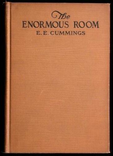 The Enormous Room