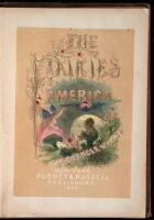 The Fairies in America