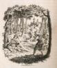 German Popular Stories, Translated from the Kinder und haus M&auml;rchen, collected by M.M. Grimm from Oral Tradition - 8