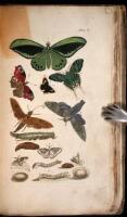 An Introduction to the Natural History abd Classification of Insects...