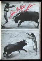 La Fiesta Brava: The Art of the Bull Ring