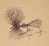 Western Trout Fly Tying Manual - 4