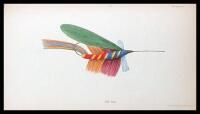 Fly-Fishing in Salt and Fresh Water. With Six Plates, Representing Artificial Flies, Etc.