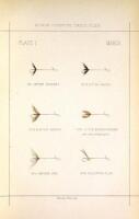 North-Country Flies