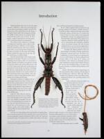 Rare and Unusual Fly Tying Materials: A Natural History. Volume 2 - Birds and Mammals