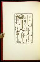 The Modern Angler, in a Series of Letters