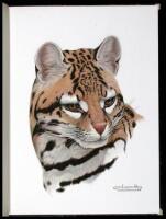 Studies of Birds and Mammals of South America...