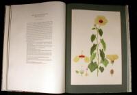 The Australian Flower Paintings of Ferdinand Bauer