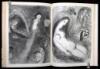 Drawings for the Bible - 6