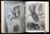 Drawings for the Bible - 7