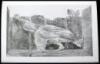 histoire naturelle - 2