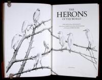 The Herons of the World