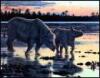 The Rhinoceros. A Monograph - 7