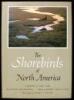 The Shorebirds of North America - 3