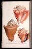 [The Genera of Recent and Fossil Shells]
