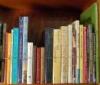 Group lot of approximately 23 books on cats and dogs