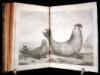 A Voyage Around the World, in the Years MDCCXL, I, II, III, IV. By George Anson, Esq; Now Lord Anson, Commander in Chief of a Squadron of His Majesty's Ships, sent upon an Expedition to the South-Seas - 3