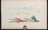 Fly-Fishing in Salt and Fresh Water. With Six Plates, Representing Artificial Flies, Etc.