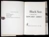 Black Sun - 2