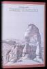 Desert Solitaire