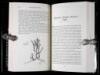 Slumgullion Stew: An Edward Abbey Reader - 2
