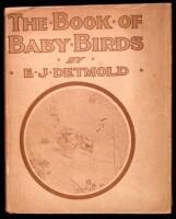 The Book of Baby Birds
