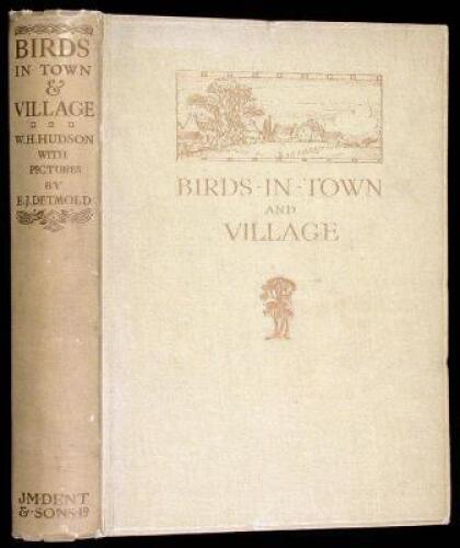 Birds in Town & Village