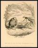 The Bee and the Wasp. A Fable in Verse - 2