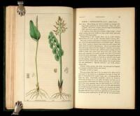 Florigraphia Britannica