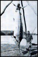 Tales of the Angler's Eldorado New Zealand