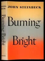 Burning Bright: A Play in Story Form