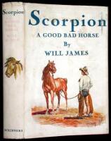 Scorpion: A Good Bad Horse