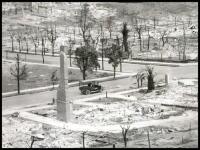 Panoramic photograph of a fire-ravaged Tilden Park community in North Berkeley, California