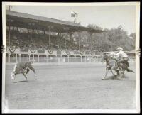 Lot of 23 rodeo and horse photographs