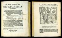 In Hoc Volumine De Alchemia continentur h&aelig;c. Gebri Arabis ... De inuestigatioe pfectionis metallo [Prescription symbol]. Liber I. Summ&aelig; perfectionis metallorum, siue perfecti magisterij. Liber II. Qu&aelig; sequuntur, omnia nunc primu excusa sunt. Eiusdem De in