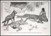 The Jungle Book - 2