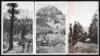 Group of 15 silver photographs and a guidebook Sequoia National Park, A Geological Album...photographs with interpretations by Fran&ccedil;ois E. Matthes