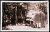 Archive of 26 photographs and photographic postcards - 5