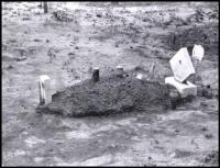 Child's Grave, Hale County, Alabama